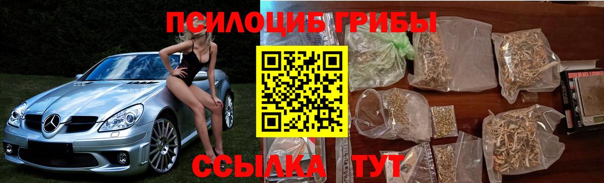 Галлюциногенные грибы ЛСД  Псилоцибиновые грибы MAGIC MUSHROOMS  Вход с VPN  Северобайкальск 